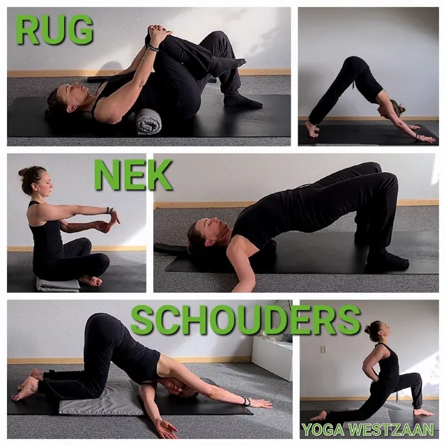 Collage van zes yogahoudingen op een mat, met de woorden Rug, Nek en Schouders. Bij een aantal houdingen worden een rolletje of blokje gebruikt.